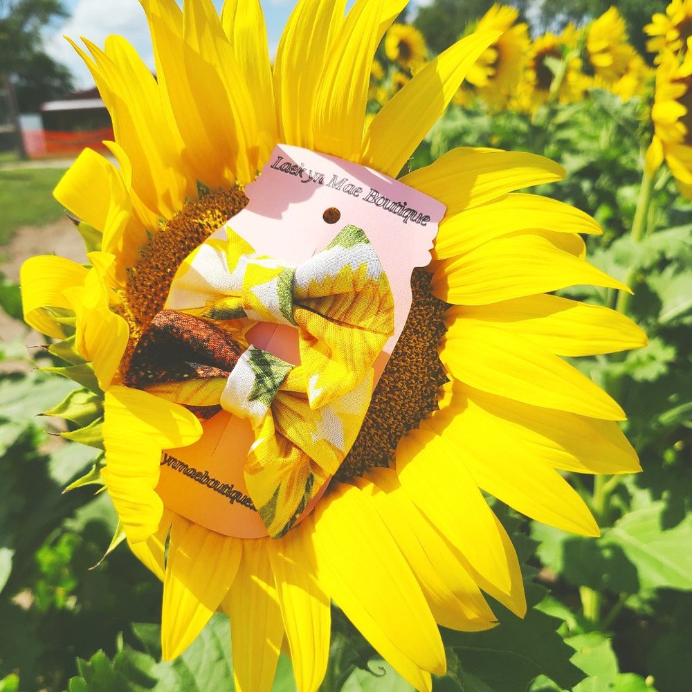 Bow Bundle Show